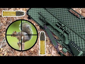 Squirrel Hunting! With Rossi RB22 Long Rifle! Success!