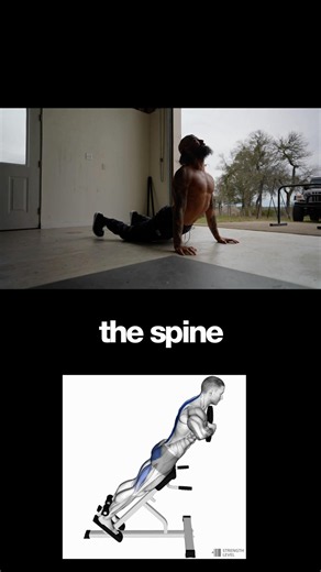 Men Need This Pushup (potent mobility)
