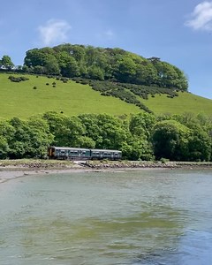Gorgeous day on the Looe Valley Line! ☀️ | Devon & Cornwall's Great Scenic Railways
