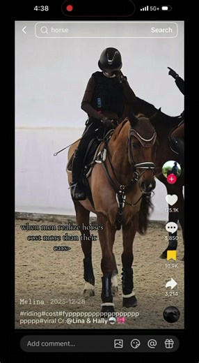 Cool Mustangs and Sports Cars: An Exciting Edit