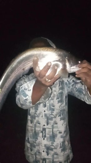 😱Biggest attu fishing videos #pathanfishing #fishingadventure #fishingtips