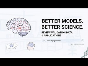 Why AD Research Stalls? The Humanized Mouse Model Solution for 3R/4R Tau Pathology | Cyagen