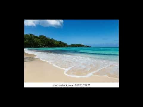 Disco dance .Beautiful Malaika jamaika