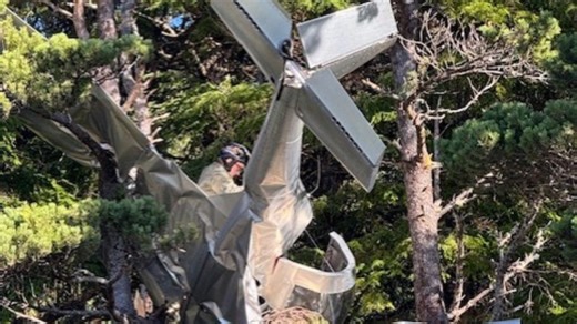 Pilot unharmed after aircraft crashes into trees at Oregon airport, gets stuck