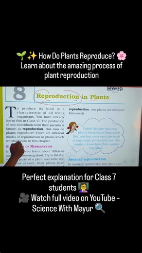 Mayur Vaishnav on Instagram: "🌱✨ How Do Plants Reproduce? 🌸 Learn about the amazing process of plant reproduction — from pollination to seed formation! 🌼 Perfect explanation for Class 7 students 👩‍🏫 🎥 Watch full video on YouTube – Science With Mayur 🔍 #ScienceWithMayur #Class7Science #ReproductionInPlants #ScienceExperiment #BiologyFun #LearningIsFun #ScienceTeacher #NCERTScience #PlantReproduction #ScienceFacts #WatchOnYouTube"