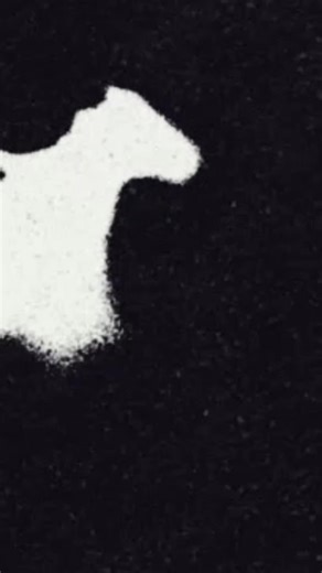 Creative Looping Textures in Motion Design