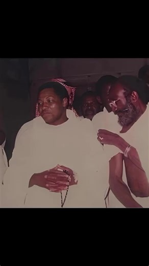 Explorando Vue: Todo lo que necesitas saber