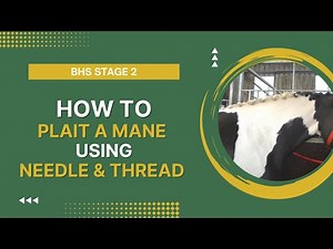BHS Stage 2: How To Plait a Mane Using Needle & Thread.