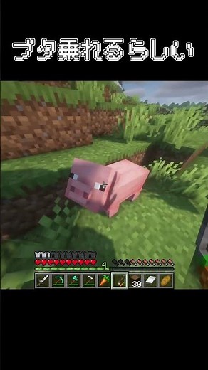 初心者がブタの操縦に挑戦！ #マインクラフト #minecraft #ゲーム実況