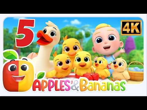 Five Little Ducks | Nursery Rhmes and Baby Songs with Apples and Bananas