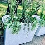Tigeen 18 Pcs 33 Inch Faux Grasses for Outdoor Planters, UV Resistant Fake Tall Grass, Artificial Grass Plants for Outdoor Decor, Artificial Greenery Stems Weed for Room Home Summer Vase Decor (Green)