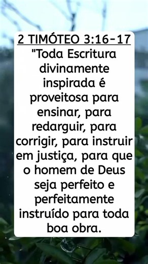 2 Timóteo 3:16-17 palavra de Deus