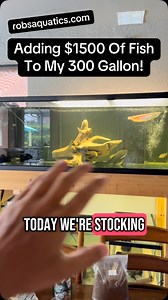 337 reactions · 11 comments | We stocked our 300 gallon MONSTER FISH...