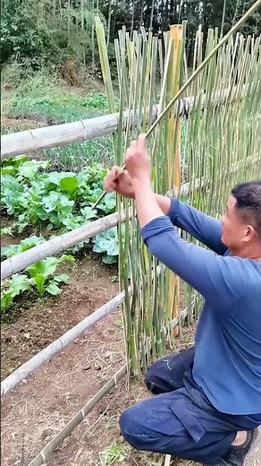 Uncle Weaves Bamboo Fence with Bamboo Strips