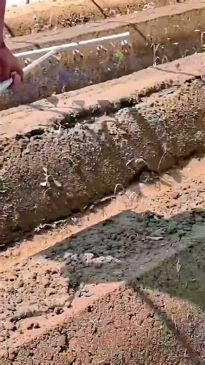 Farmer using flame weeder tool for soil preparation