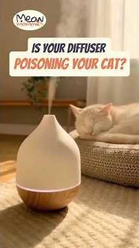 Are Essential Oils Safe for Cats? (A Vet's Warning) #catsafety #cathealth #cat