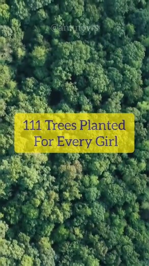 Piplantri: A Village That Celebrates Daughters