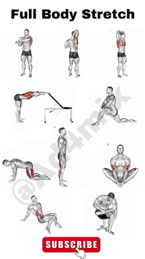 Full Body Stretch at Home 🏠 | Boost Flexibility & Recovery