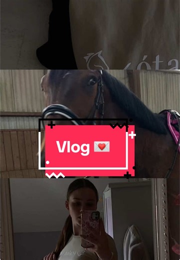 Was habt ihr heute mit euren Pferden gemacht? #vlog #vlogtime #100kviews #aesthetic #equestrian #equestrianvlog