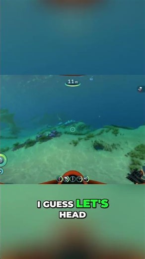 Barracuda Encounter & Limestone Cave Exploration! #shorts