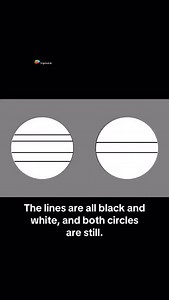 An illusion is a misperception or distortion of reality, where something appears different from how it truly is. It can occur in various forms, such as visual, auditory, or cognitive, and often tricks the brain into interpreting information incorrectly, leading to a false or misleading perception of the world. Follow (us) @scigeniushub to know how things work. #viral #explore #howeverythingworks #reels #physics #science #trendingreels #facts #illustration #illusion #mind #eye | Scigeniushub