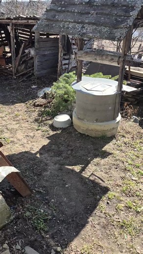 #село #обрізкадерев #красавселі