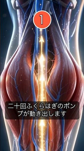 夕方、足がパンパンになる本当の理由と、流す2つの方法【むくみ】