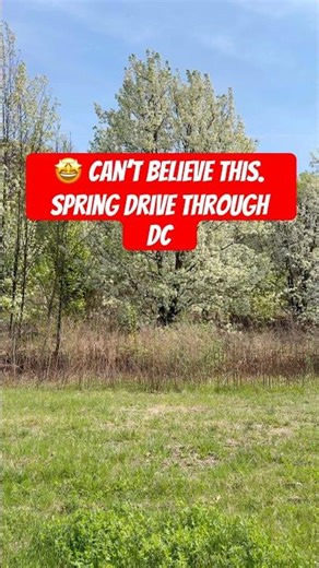 Driving Through Washington, DC’s Scenic Roads and Blooming Flower Gardens | Short Relaxing Drive