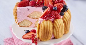 Charlotte de Madeleines & mousse de fruits rouges