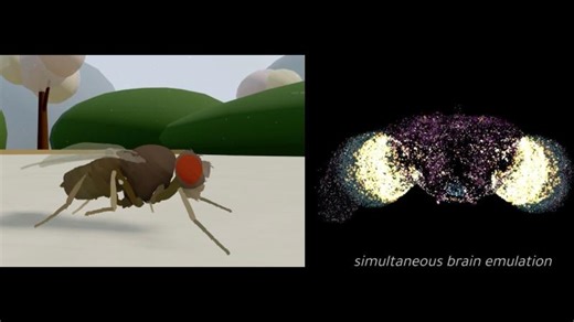 The First Multi-Behavior Brain Upload | Alessandro Vai