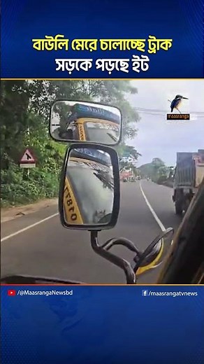 বাউলি মেরে চালাচ্ছে ট্রাক, সড়কে পড়ছে ইট | Maasranga News