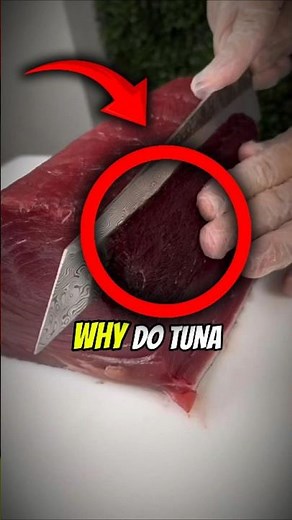 Why Does This Fish Have This Color? EXPLAINED