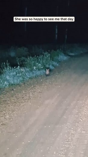 726K reactions · 343 shares | I adopted a baby fox lost its mother...