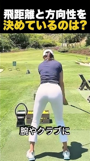 What Determines Your Distance and Accuracy