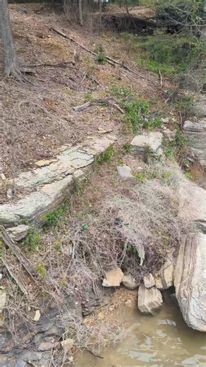 50K views · 959 reactions | Take a look at this spring that runs under our old rock building at the lake property. So neat! | Hidden Heights Farm | Facebook