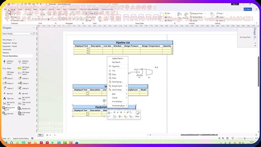 Microsoft.Office.Pro.Plus.2016-2024.x64.v2503之visio2024 展示！