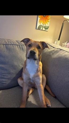 oh how you’ve grown🥹🥹