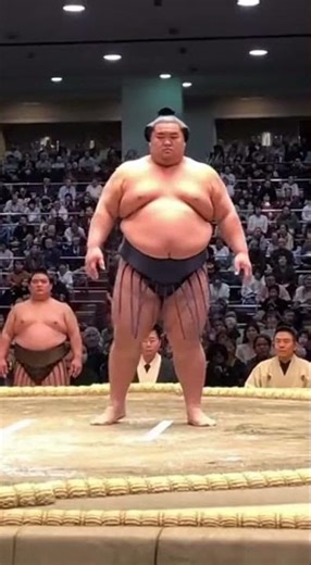 Sumo Ring Collapse