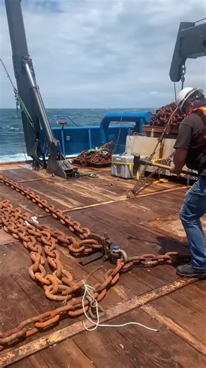 Exploring Sea Life: Insights from the Ocean