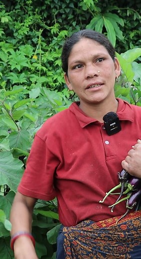 477K views · 10K reactions | लोभ लाग्दो कृषी | Dipak nepali | Facebook