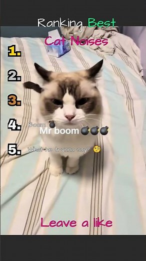Ranking The Funniest Cat Noises Ever 😂🐱 #funny #shorts