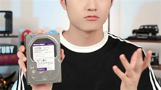 西部数据（WD）8TB 监控级机械硬盘 WD Purple 西数紫盘 SATA 256MB CMR垂直 安防存储 3.5英寸 WD85PURZ