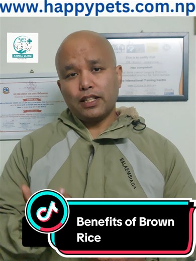Benefits of Brown Rice for Pet Health