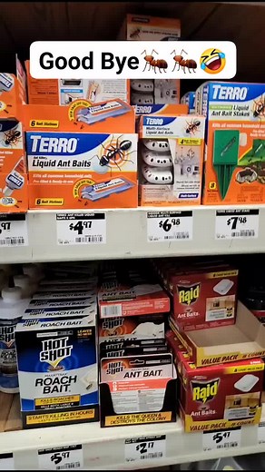 Effective Ant Killer Products at Home Depot