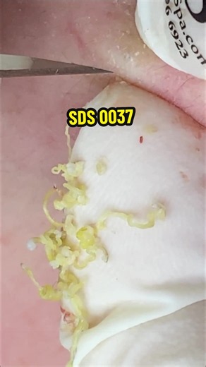 Relax | SDS 0037 | Relaxing Videos