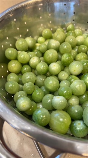 Pickled green tomatoes 💚 #growyourownfood #pickles | Gardening With Tara