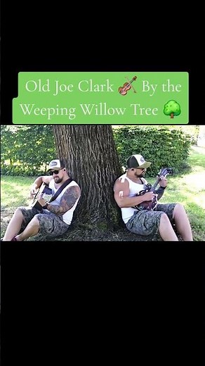 Old Joe Clark 🎻 By the Willow Tree 🌳 #oldjoeclark #fiddletune #oldtime #bluegrass #folkmusic