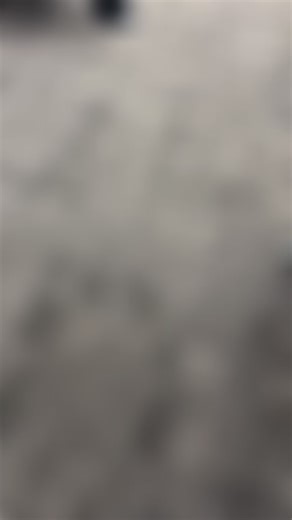 🎉 MOD Induction Ceremony 🎉 Today we celebrated our young men as they were officially inducted into our Men of Distinction (MOD) program! We are so proud of their commitment, leadership, and growth as they continue to represent the best of CMS. A huge shout-out to Mr. Davis, Mr. Everett, and Ms. Lane for leading, mentoring, and pouring into these boys. Your impact shows every day! | Cunningham Middle School