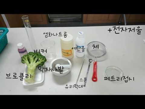 하나. 브로콜리DNA추출실험