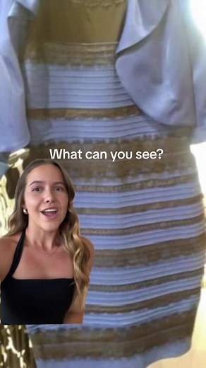 Black and Blue Dress Debate Clarified